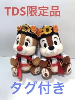 TDR25周年品 TDSスプリングカーニバル チップとデールのペアぬいぐるみ