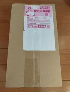 ポケカ トウホクスペシャルBoX トウホクピカチュウ 新品未開封品