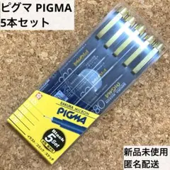 新品★サクラクレパス ピグマ PIGMA ブラック 5本セット アート 水性ペンのサムネイル