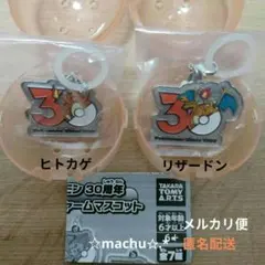 【新品・未開封】ポケモン30周年 メタルチャームマスコット 2点セット ①