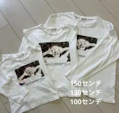 Item thumbnail for item 338889c6-5633-49fd-9a9e-53c6d8f0e4ba