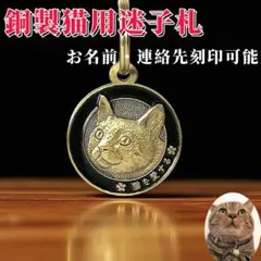 Item thumbnail for item a48f29d4-4515-408d-9a1c-32811796da18