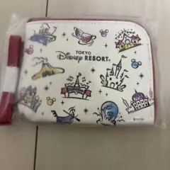 コインケース付きパスケース 東京ディズニーリゾート ディズニーランド JAL