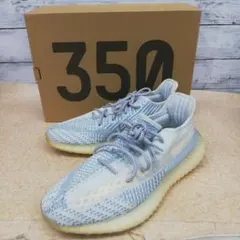 AV6003 adidas Yeezy Boost 350 V2 FW3043のサムネイル