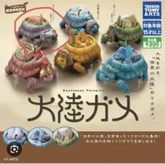 大陸ガメ　ガチャガチャ