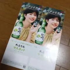 Item thumbnail for item 7e8fa04e-587d-49b4-8066-37ac58b2ee18