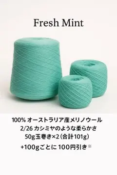 フレッシュミント 100%メリノウール毛糸 101g