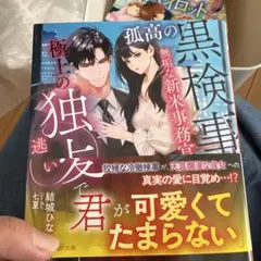 孤高の黒検事は無垢な新米事務官を極上の独占愛で逃がさない～抗えない最低最悪の取…