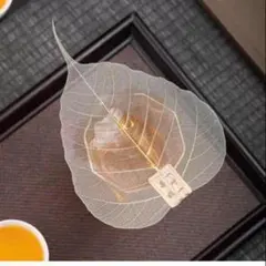 Item thumbnail for item d668c75c-6de0-4a82-aca1-27052a1e73bd