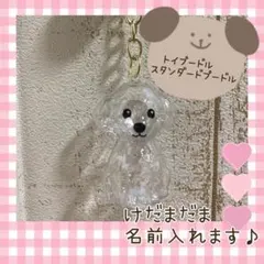 クリスマス限定無料ラッピング♪けだまだま　犬おもちゃ　トイプードル　キーホルダー