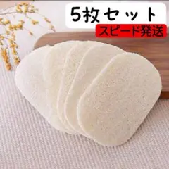 スピード発送！ヘチマ スポンジ へちまたわし 天然素材エコ生活 キッチン 食材