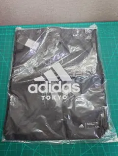 Item thumbnail for item 7d2f1f12-d0af-4a8b-86c9-ec795222fc58