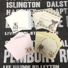 【平成レトロ】実写犬 メモ 48枚セット ＊ 4柄各12枚