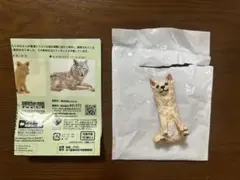 はしもとみおの彫刻　那須どうぶつ王国　ホッキョクオオカミ