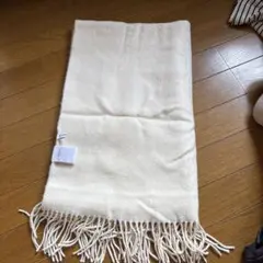 Item thumbnail for item 0e61440d-c78a-4ab5-873f-4fa16b92d60f