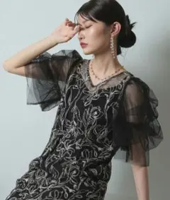 美品✨Kana　刺繍レース チュールスリーブ コクーン オケージョンドレス