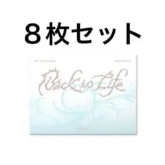 &TEAM Back to Life Photocard Box 8枚セット