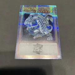 2025年最新】ブルーアイズホワイトドラゴン地球の人気アイテム