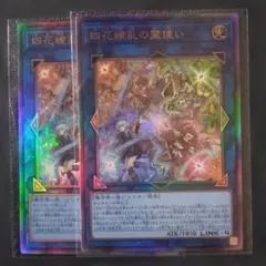 遊戯王 四花繚乱の霊使い しかりょうらんの霊使い レリーフ 2枚セット