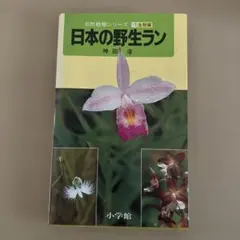 Item thumbnail for item 5227aa6b-c611-441d-adf8-836ca7a66333