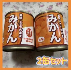 みかん 缶詰 フルーツ缶詰 果物 くだもの 2缶セット 春 夏 秋 冬 未開封のサムネイル