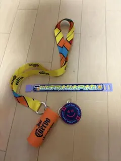 ULTRA JAPAN ウルトラジャパン　2024