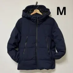 Item thumbnail for item d374341b-4d93-4d5c-a1a5-b0473e34b833