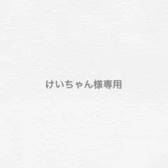 けいちゃん様専用