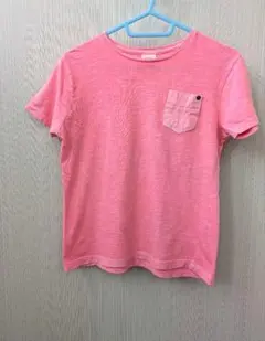 Item thumbnail for item 7c1427da-8a1d-45d4-a1d6-6cb168f6c2a1