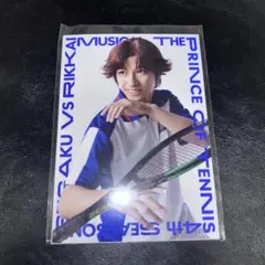 ミュージカル テニスの王子様 4thシーズン 青学VS立海 菊丸英二