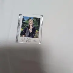 ツイステ　ヴィル　ランダムカードコレクション　ツイステ展