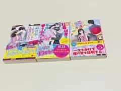 TLセット
