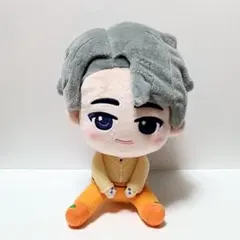 ウォヌ ぬいぐるみ 一番くじ PetiTEEN from SEVENTEEN