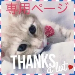 サラサラ様 リクエスト 2点 まとめ商品のサムネイル
