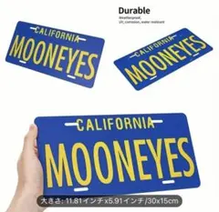 Item thumbnail for item 70dd879a-668f-4746-8d6a-e5ea75888639