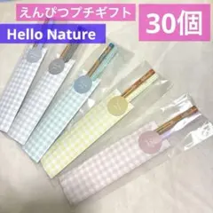 鉛筆Wえんぴつプチギフト10個　ばら撒　退職　お返し　引越　転校　文具　イベント 専用出品☆鉛筆Wえんぴつプチギフト10個 ばら撒 退職 お返し 引越 転校