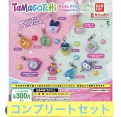 たまごっち めじるしアクセサリー Tamagotchi Paradise コンプリートセット たまごっちめじるしアクセサリー Tamagotchi Paradise コンプ - メルカリ