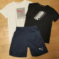 PUMA Tシャツ2枚とショートパンツセット 150