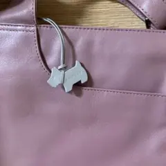 ＲＡＤＲＥＹ　斜め掛けショルダー