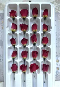 ミニバラ ♡20本♡ ドライフラワー【ガク無し】