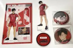 ハイキュー!! 黒尾鉄朗 ゴミ捨て場の決戦DVDアニメイト豪華版特典