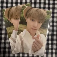 Anode ディノ トレカ