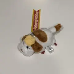 ジブリパーク☆ 魔女の谷☆ヒン　キーホルダーのサムネイル