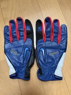 鳥谷敬選手木製バットNIKEサイン入り - メルカリ