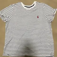 Polo Ralph Lauren ストライプTシャツ 半袖