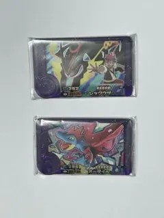 ポケモンフレンダ　メガレックウザ　メガオーダイル　2枚セット