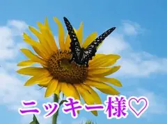 ニッキー様❤️おまとめ専用ページです。9/30まで♡