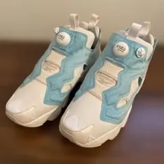 Reebok Insta Pump Fury ポンプフューリー　レイン シーズ