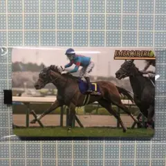 エンブロイダリー まねき馬倶楽部 未開封カード