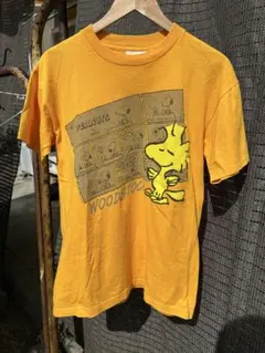 WAREHOUSE チャーリー・ブラウン PEANUTSコラボ Tシャツ S - メルカリ